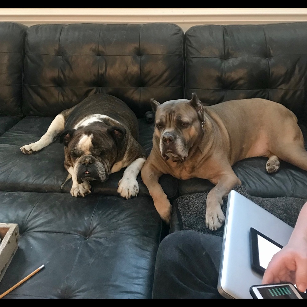 Meet your Posher, Ellen